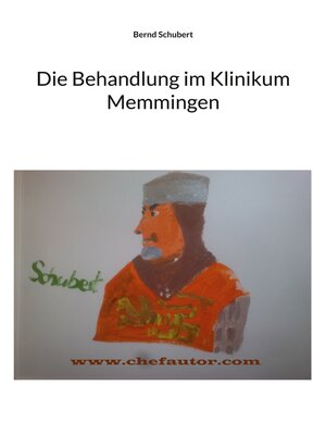 cover image of Die Behandlung im Klinikum Memmingen
